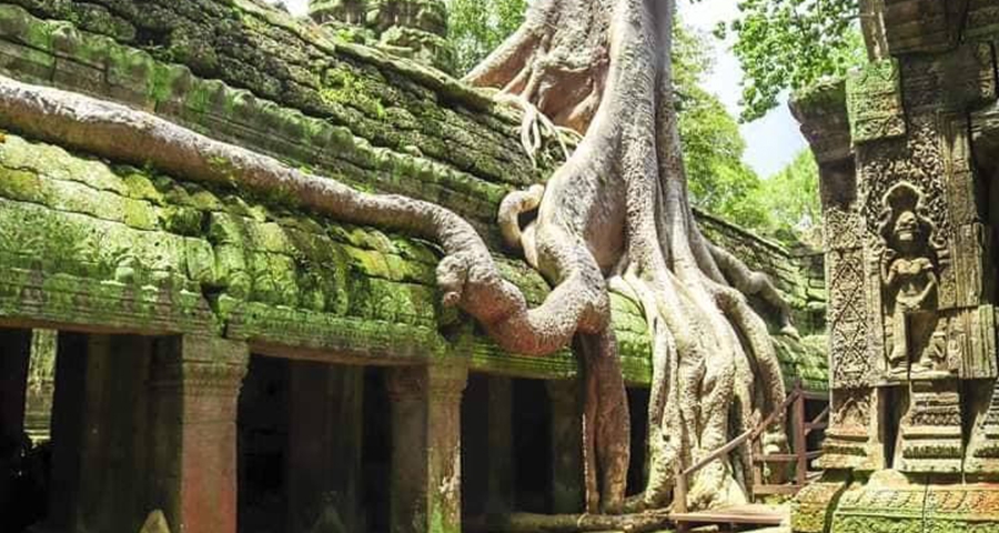 Taprohm Temple