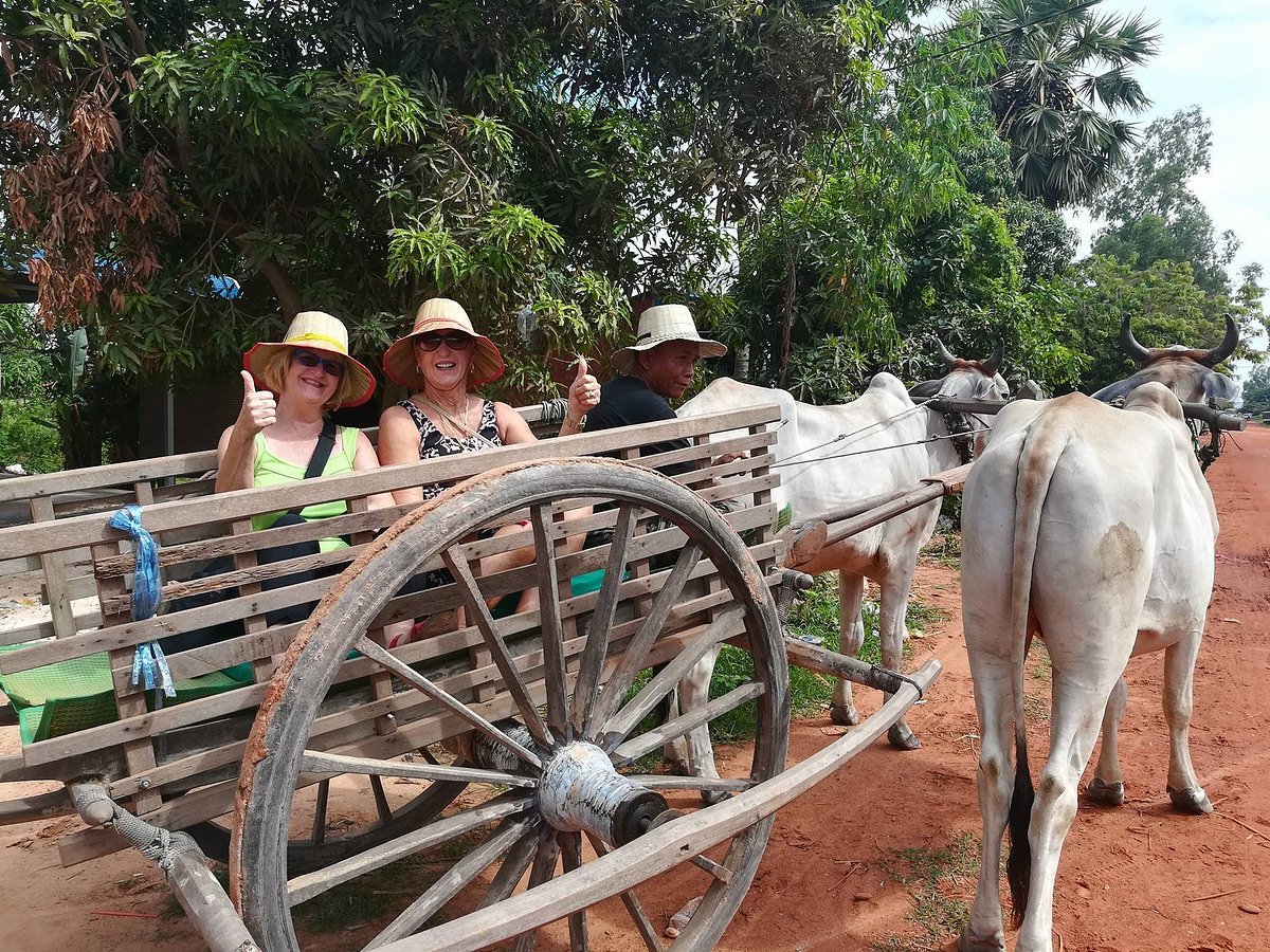 Ride An Ox Cart To A Rural Village Tour