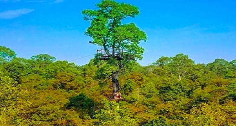 Angkor Zipline, The Eco-adventure Tour!